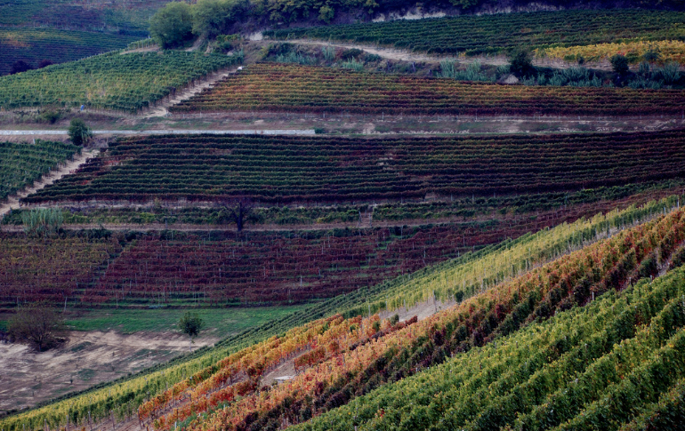 E’ ufficiale: Langhe-Roero e Monferrato tra i Siti Culturali Patrimonio dell’Umanità