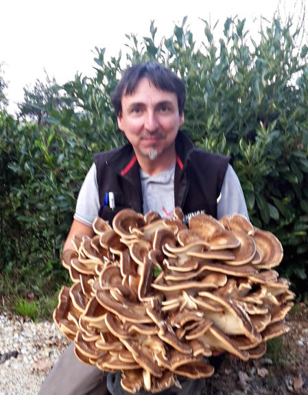 Fungo da 20 kg trovato nei boschi di Ferrere