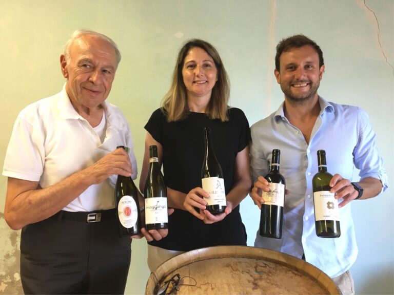 Scelti i vini vincitori di Vininvilla: premiazioni il 1° settembre a Villafranca 