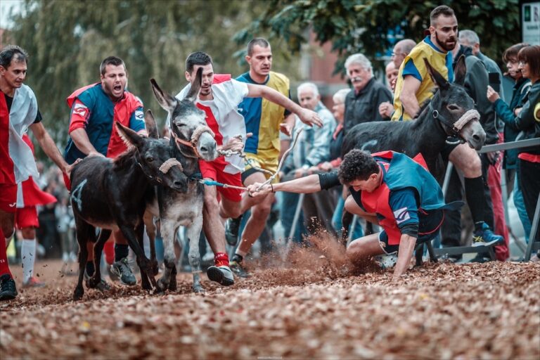 COCCONATO D’ASTI: TUTTO PRONTO PER LA CENA MEDIEVALE E IL PALIO DEGLI ASINI