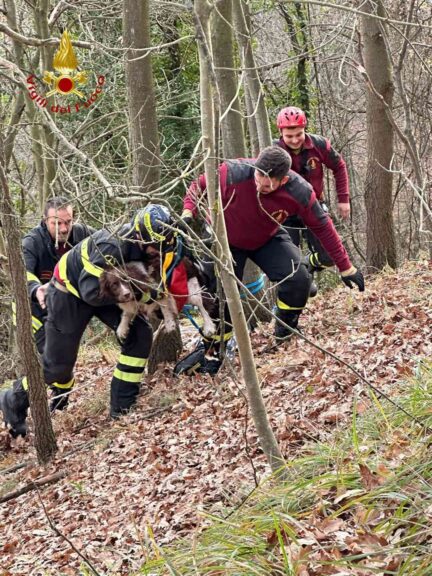 Finisce in un dirupo per salvare il suo cane: salvato dai vigili del fuoco