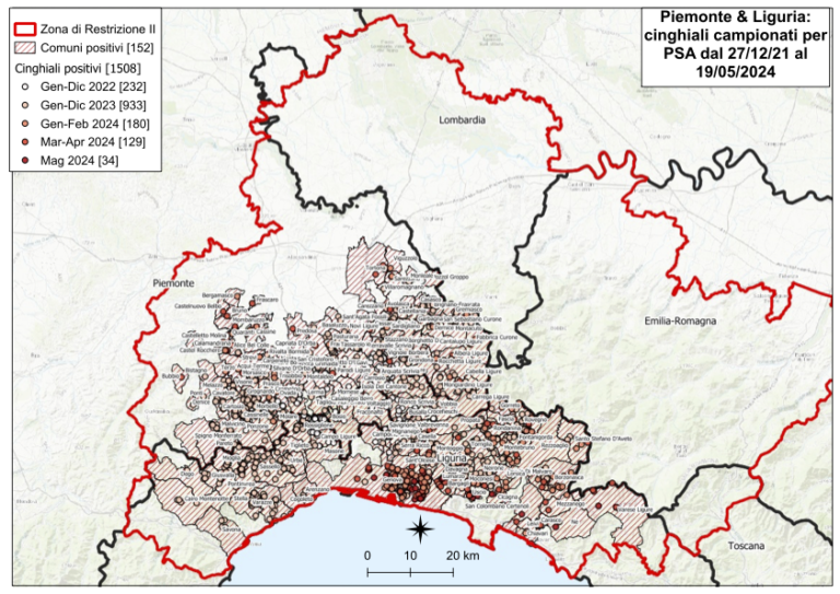 Psa, in Piemonte i casi sono 656