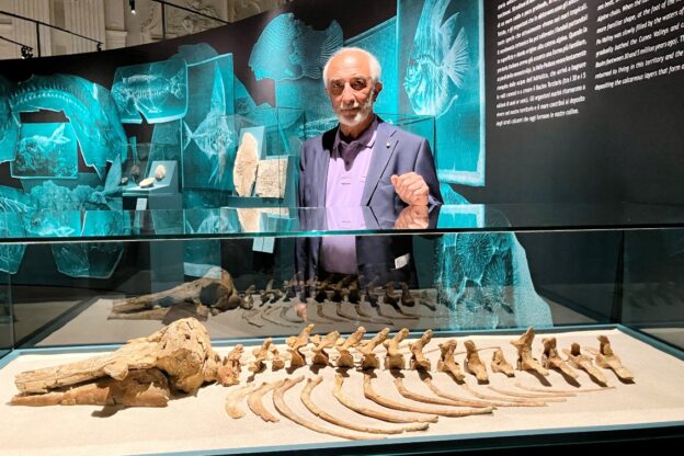 Il sindaco di Montafia e il delfino di tre milioni di anni s’incontrano a Torino 