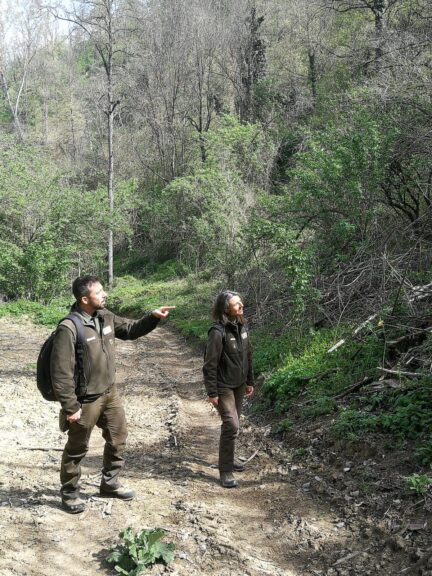 Riapertura lo Sportello Forestale del Parco Paleontologico