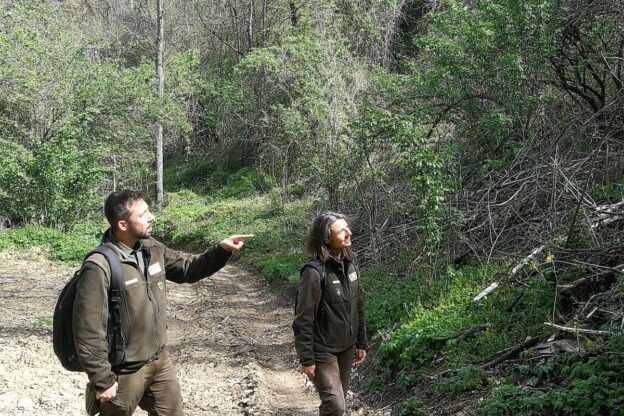 Riapertura lo Sportello Forestale del Parco Paleontologico