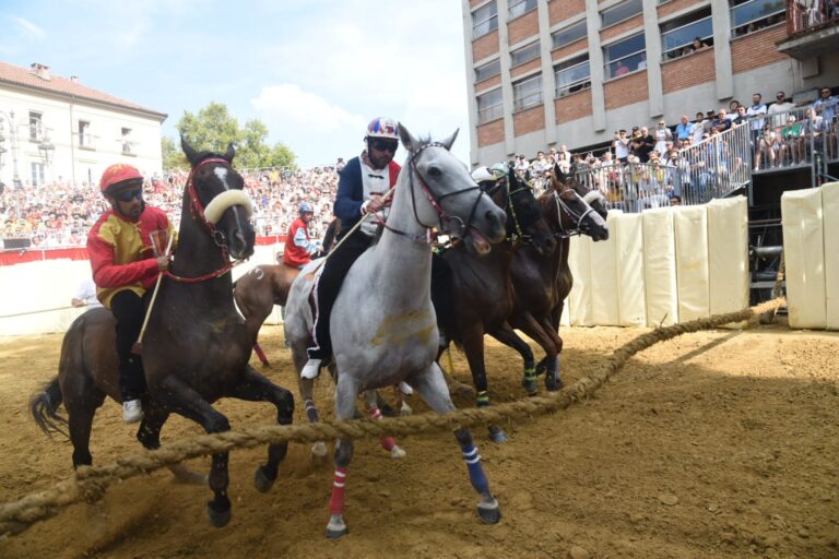 Palio 2024: i risultati della prima batteria