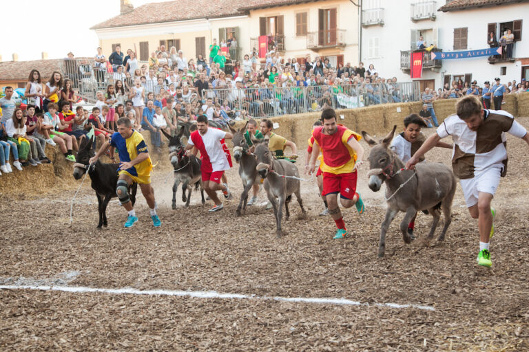 Tutto pronto per il palio degli asini di Cocconato