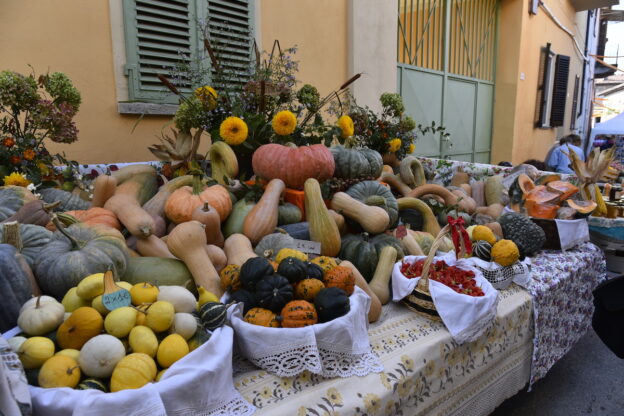 Tutto pronto per la festa della zucca di Piea