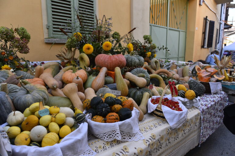 Tutto pronto per la festa della zucca di Piea