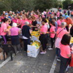 Rinviata causa maltempo la camminata Nastro Rosa della Lilt