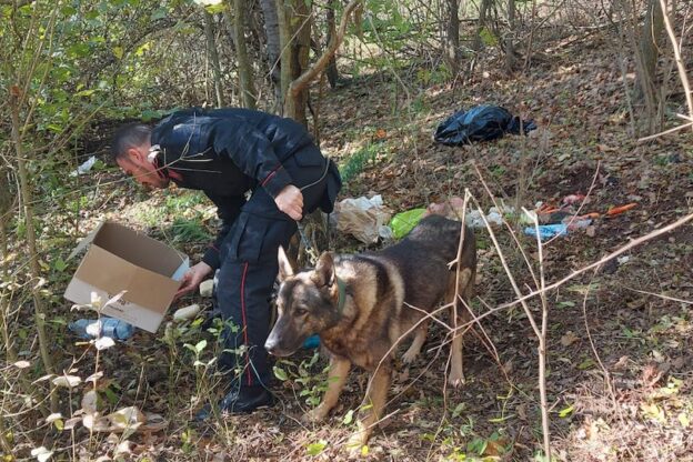 Operazione antidroga dei carabinieri di Canelli: il parco della Valsarmassa “restituito” alla cittadinanza