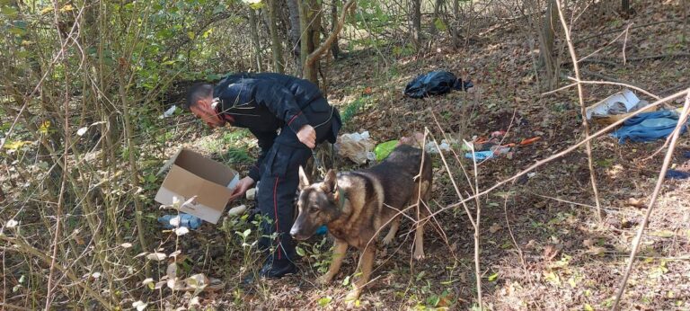 Operazione antidroga dei carabinieri di Canelli: il parco della Valsarmassa “restituito” alla cittadinanza