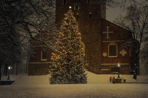 Alberi di Natale bellissimi: ecco come addobbarli